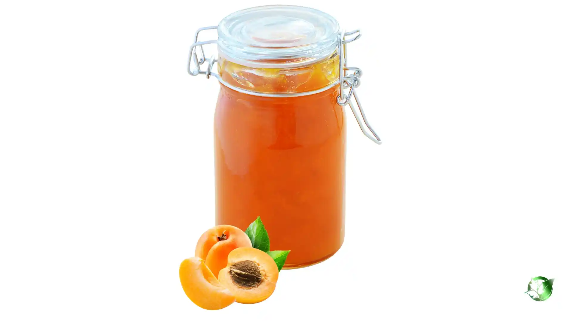 Bulk Apricot Jam | Suppliers | Wholesale | ParsaFood Global